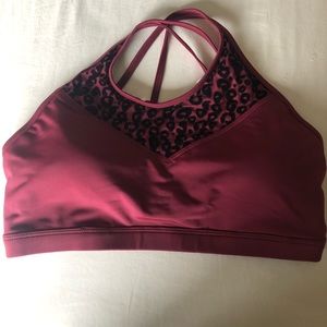 Everlast Sports Bra NWT